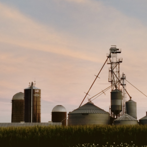 Farm