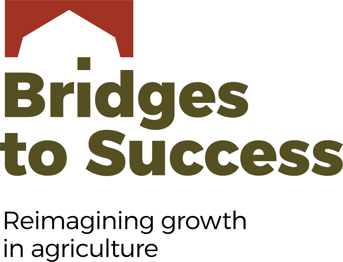 Bridges to Success
